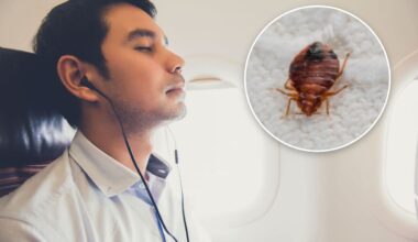 Qantas bed bug outbreak: Passengers describe insects crawling on board