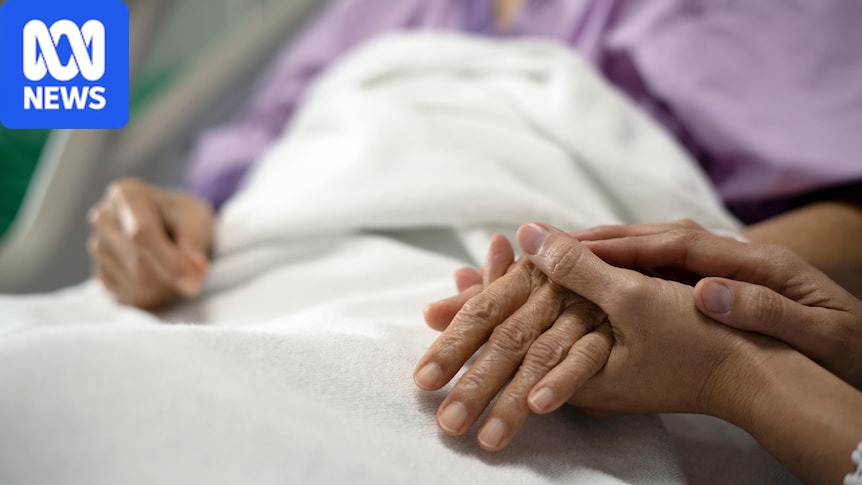 'Stranded patients' in NSW hospitals prompts call for change from productivity commissioner
