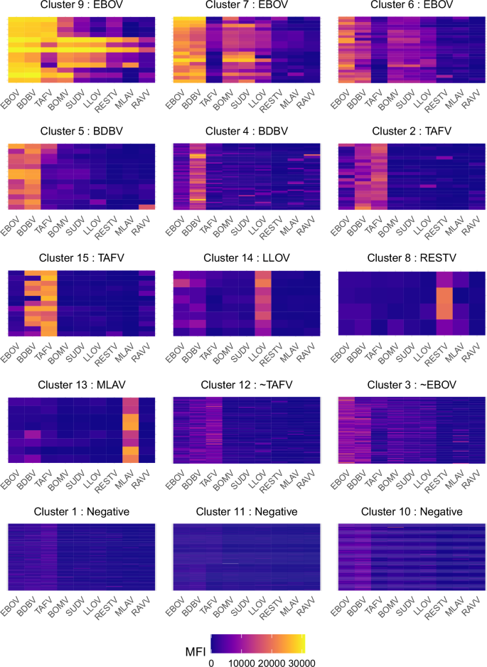 Fig. 3: Anti-filovirus glycoprotein (GP) antibody responses of individuals clustered by K-means clustering (k = 15), Guinean wildlife hunters, 2017 and 2023 (n = 1159).