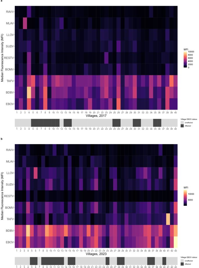 Fig. 6: Mean anti-filovirus IgG responses amongst Guinean wildlife hunting communities in 2017 and 2023, stratified by village.