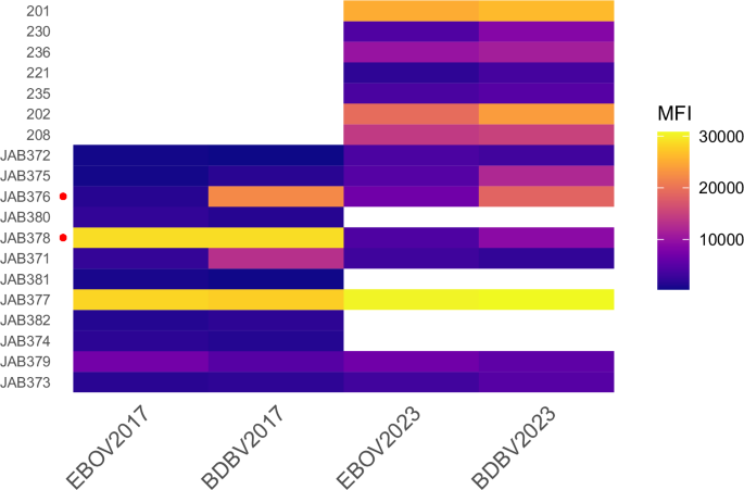 Fig. 7: Individual IgG responses to Ebola (EBOV) and Bundibugyo (BDBV) virus amongst Guinean wildlife hunting communities from Village 4 in 2017 and 2023.