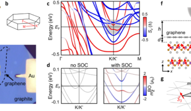 Giant orbital Zeeman effects in a magnetic topological van der Waals interphase