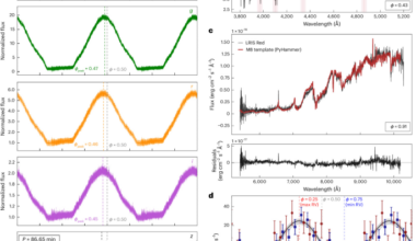 Stable mass transfer from a substellar object onto an M dwarf