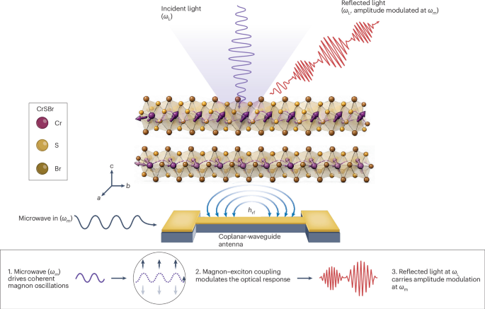 Bridging microwaves and light | Nature Materials