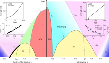 Evidence for spin-fluctuation-mediated superconductivity in electron-doped cuprates
