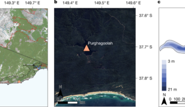Australia’s current wildfire crisis linked to colonial land-use change