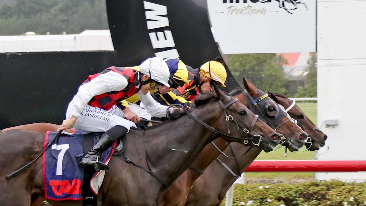 TAB NZ’s online casino plans advance despite ministers’ earlier opposition