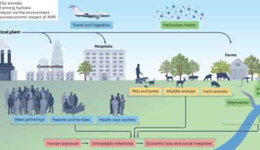 Environmental impacts, surveillance and mitigation of antimicrobial resistance