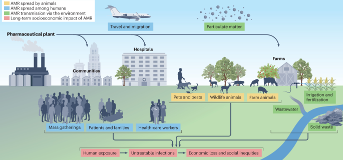 Environmental impacts, surveillance and mitigation of antimicrobial resistance