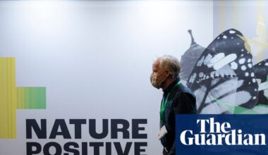 Cop17 at a glance: everything you need to know about the UN’s nature summit | Cop17 biodiversity summit