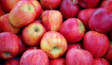 What Happens If You Eat An Apple Every Day? A Dietitian Explains