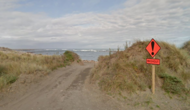Tangimoana Beach: Swimmer dies after being swept out to sea in Manawatu-Whanganui