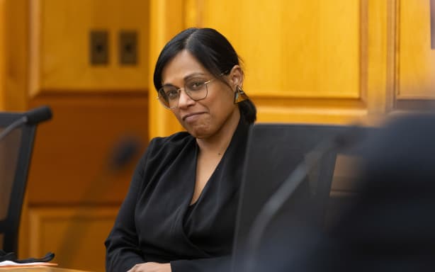 Labour MP Vanushi Walters in Parliament's Regulations Review Committee.