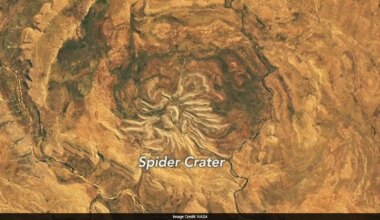 NASA's Satellite Spots Spider-Shaped Crater In Australia Formed By Ancient Meteorite Impact