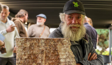 In pictures: Stunning stone creations featured in one-day exhibit at The Glen