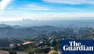 Snakes, bobcats, mountain lions: the secret animal world beneath the Hollywood sign | Los Angeles