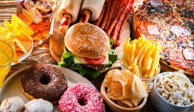 High-calorie diet causes brain nerve abnormalities, researchers find