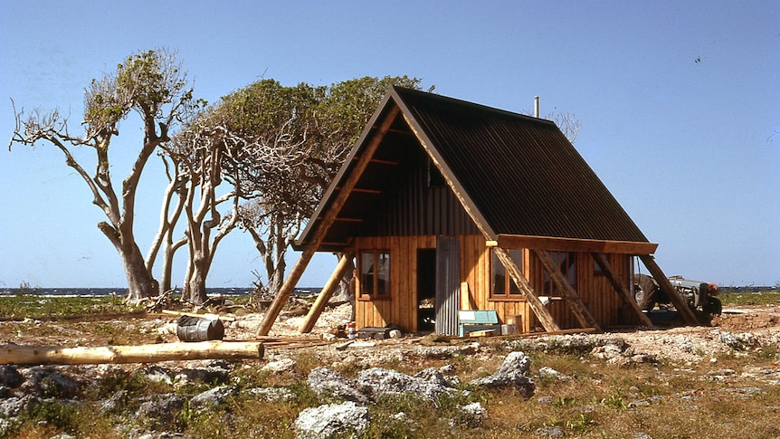 A small wooden A-frame house on a barren island with just three scrawny trees near it.