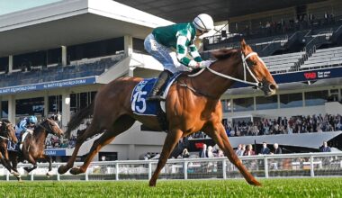 Kiwi superstar Well Written forced out of A$10 million race as spring cut short