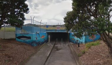 Police identify source of mystery pool of human blood found in Wellington tunnel