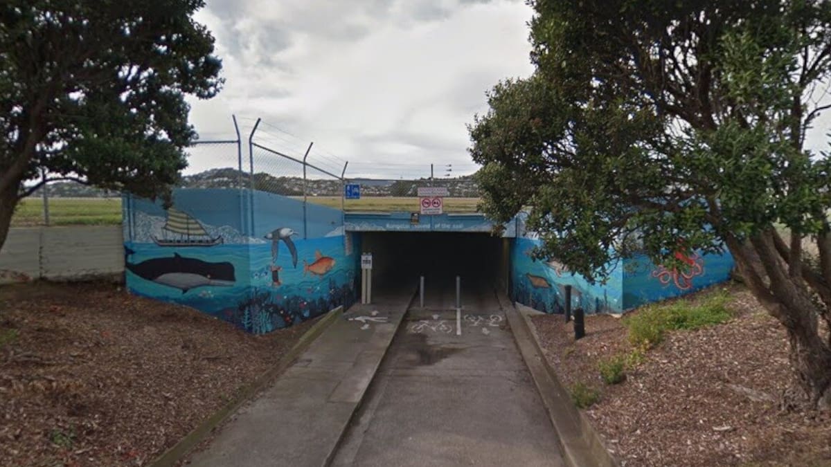 Police identify source of mystery pool of human blood found in Wellington tunnel