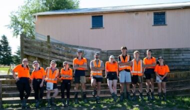 Pāmu apprenticeship scheme attracts nearly 100 applicants for 2027 intake