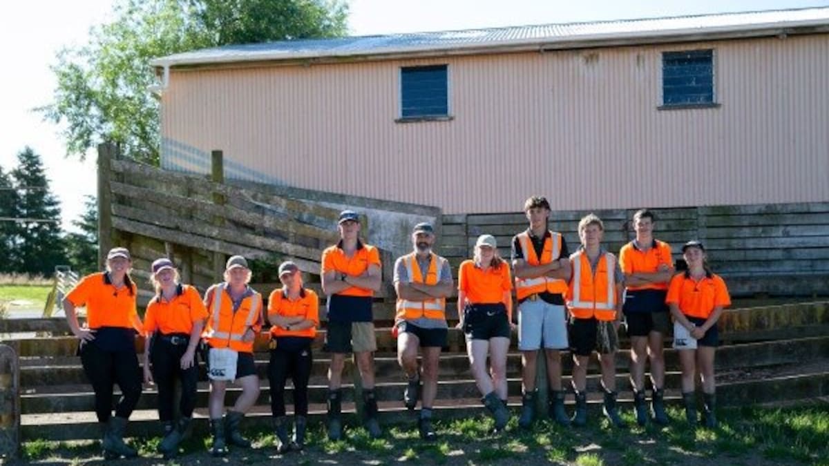 Pāmu apprenticeship scheme attracts nearly 100 applicants for 2027 intake