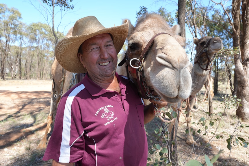 A man holds a camel by a halter