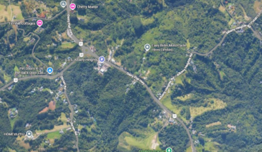 Car crashes into house being transported early morning on Dairy Flat Highway, Auckland, two seriously injured after being trapped