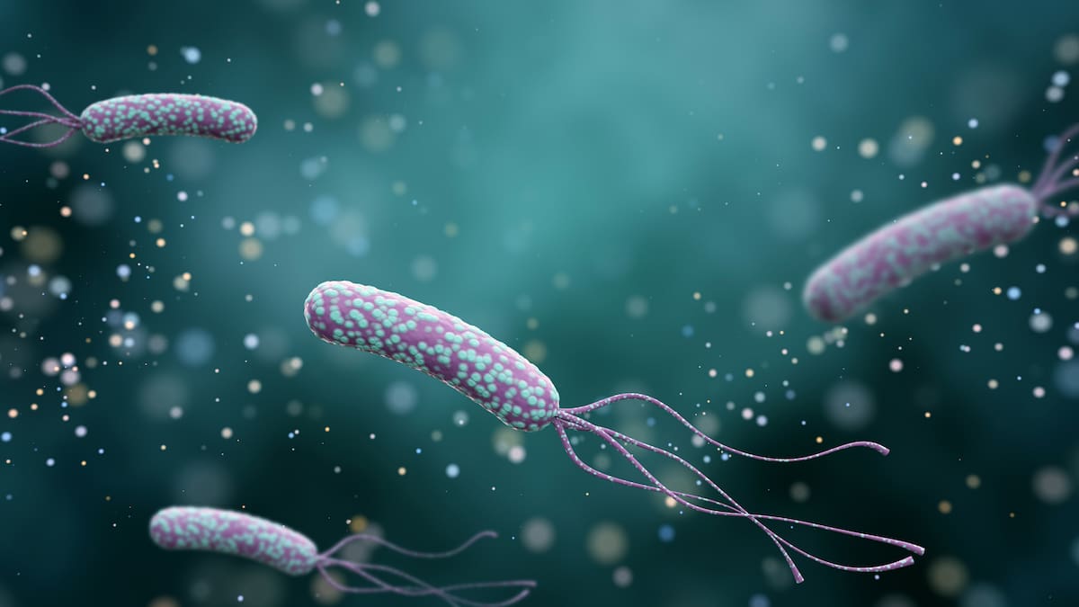 H.pylori: The group one carcinogen lurking in Kiwi tummies and why NZ doesn’t screen for it