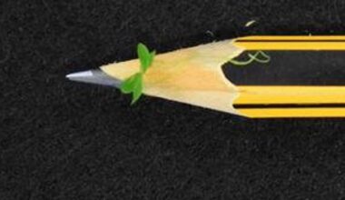 World’s tiniest flowering plant could feed deep space astronauts | News