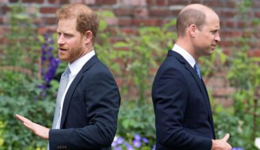 William reaches 'sad' new milestone in Prince Harry feud as insider reveals major change | Royal | News