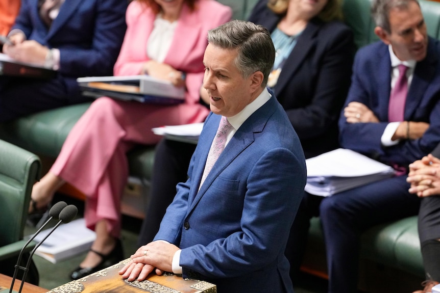 Mark Butler at the despatch box in parliament