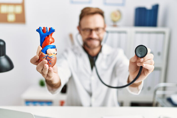 A male doctor holding an anatomical heart model and a stethoscope toward the camera