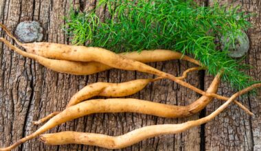 Shatavari root extract may support women’s sexual wellness
