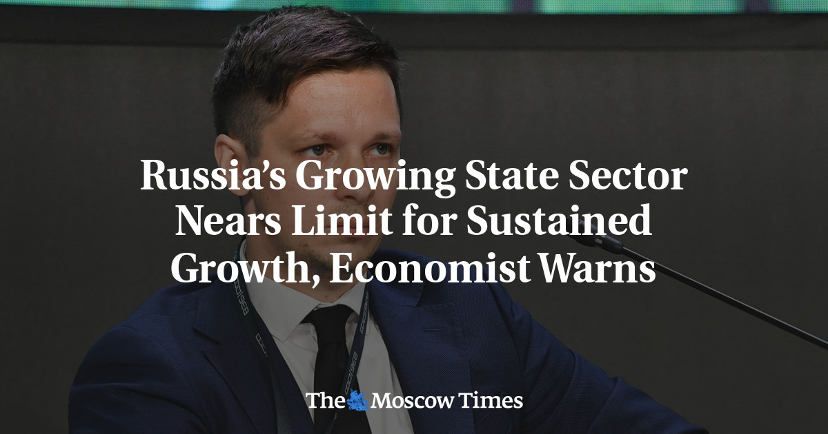 Russia’s Growing State Sector Nears Limit for Sustained Growth, Economist Warns