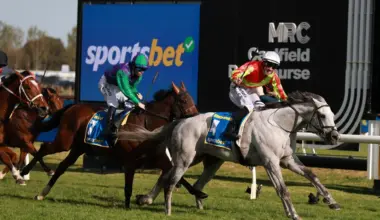 Caulfield Cup marred by fatal fall involving reigning Melbourne Cup champion - Stuff