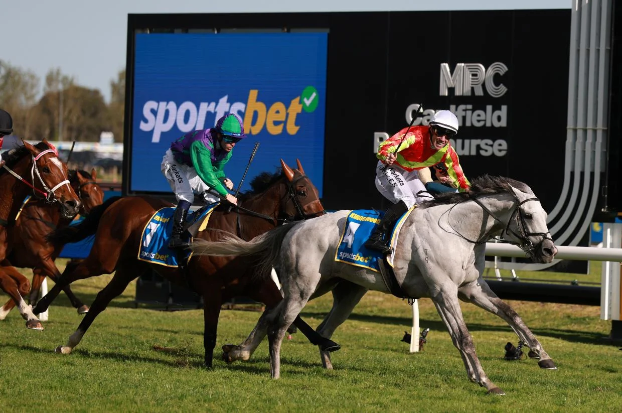 Caulfield Cup marred by fatal fall involving reigning Melbourne Cup champion - Stuff