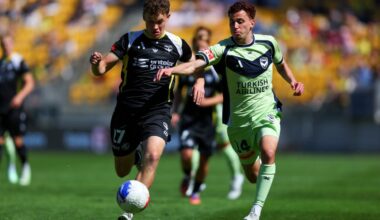 Wellington Phoenix A-League Men player ratings: Tell us how they performed against Melbourne Victory - Stuff