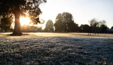 Frost risk for growers as cold front sweeps across NZ - Stuff