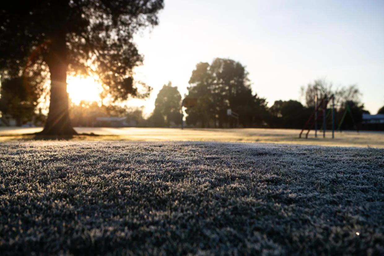 Frost risk for growers as cold front sweeps across NZ - Stuff