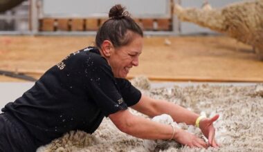 NZ Merino championships: Duncan Leslie and Monica Potae earn Silver Fern call-ups