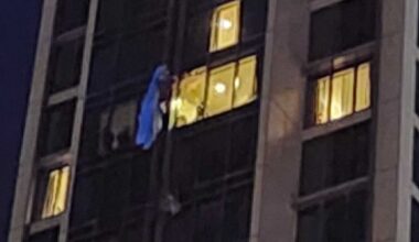 Late-night operation to save parachutist stranded 25 storeys up Auckland hotel