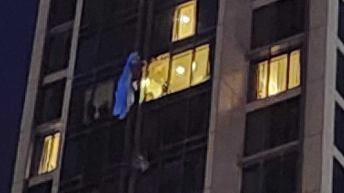 Late-night operation to save parachutist stranded 25 storeys up Auckland hotel