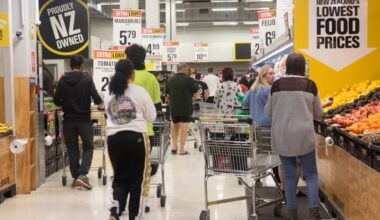Cost of living crisis won’t be solved by subsidising prices – Bryce Wilkinson