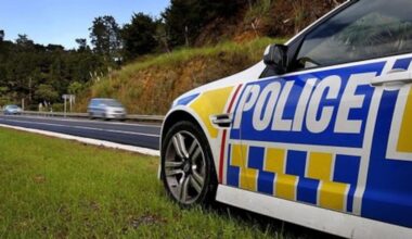 Police officer pleads guilty to dishonestly accessing database, reckless driving