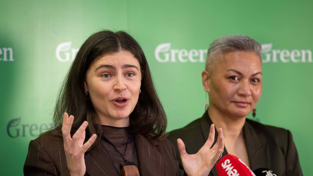 Election 2026: Green Party guarantees ‘pathway’ to job for unemployed aged 16 to 24