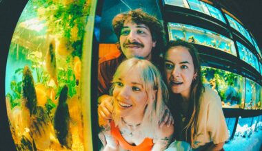 Being Dead Sign to Polyvinyl, Plan to “Take Over the World”