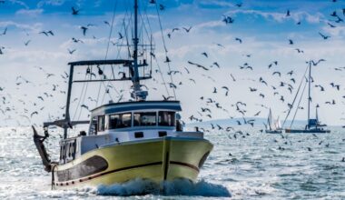 EU fish landings valued at €5.5 billion in 2025 - News articles