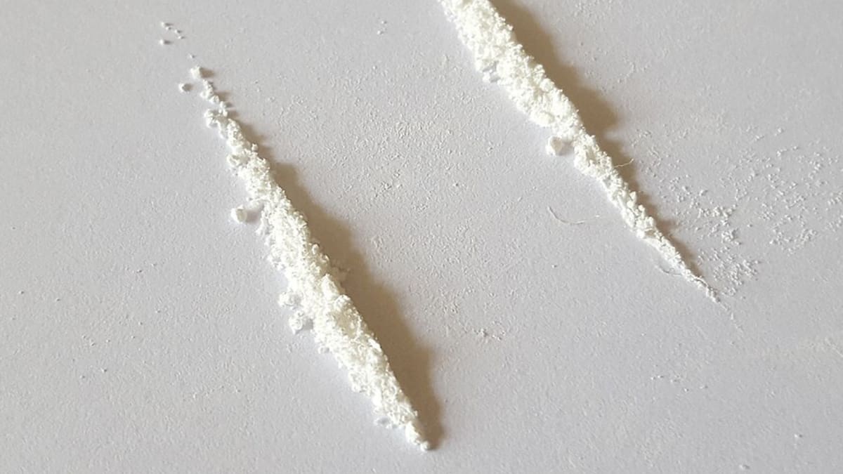 Drug trends survey: Cocaine use surges in NZ as price falls, drug becomes more accepted